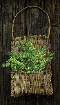 Vine Pocket Basket - The Fox Decor